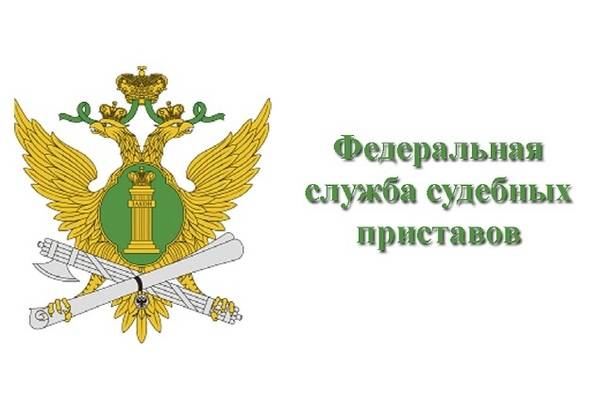 Высшая школа закупок – мы готовим профессионалов по 44 и 223-ФЗ!