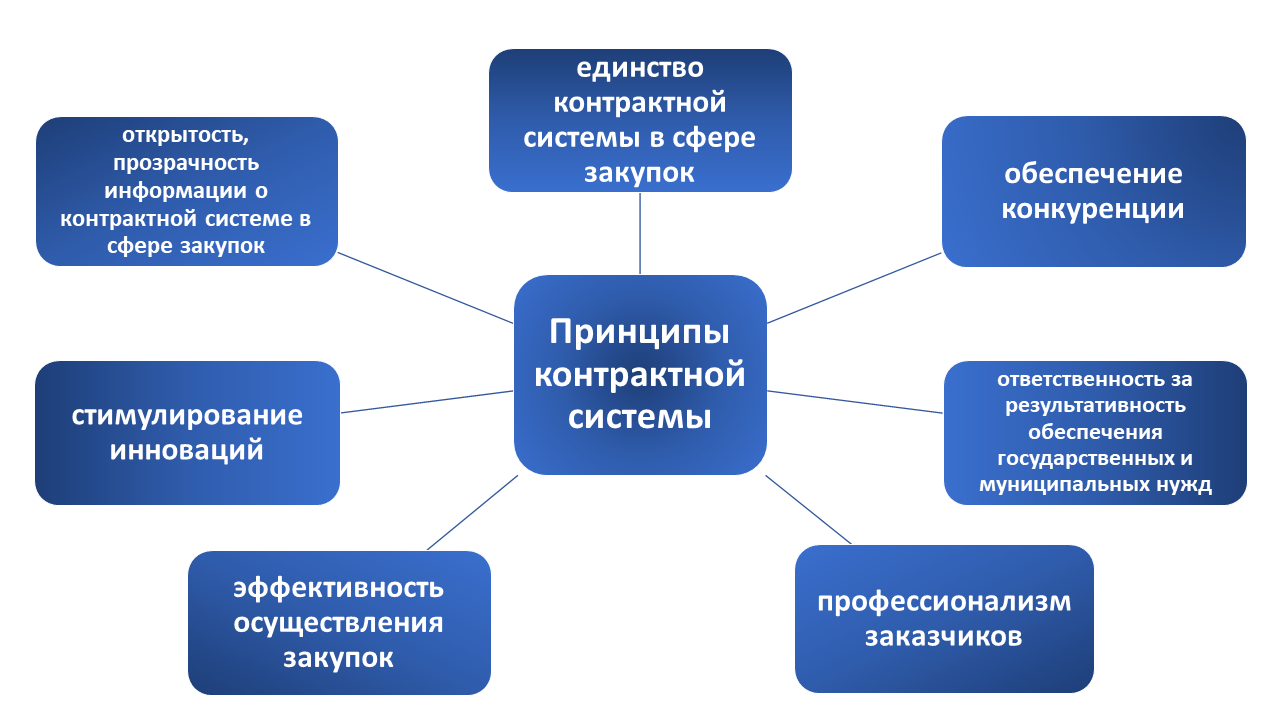 Как работает закон о контрактной системе в России: основные положения и принципы